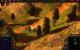 Spellforce 2: Faith In Destiny - Maxed Out (29)