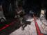 Unreal Engine 4 Elemental-Demo: Time of the Day 02