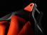 Computex 2012: Cougar präsentiert Challanger-Gehäuse und Platinum PTX-Netzteil (6)