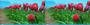 Windows 8 Release Preview: Freeze Bug wurde behoben (2)