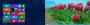 Windows 8 Release Preview: Freeze Bug wurde behoben (3)