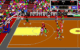 Basketball: Alle Fans von Basketball konnten schon im Jahr 1989 mit Lakers versus Celtics and the NBA Playoffs ihre ersten Erfolge unter den digitalen Körben feiern. Grund dafür waren vor allem die offiziellen Lizenzen und signature moves der Stars.
