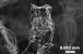 Aerographit: Leichtestes Material der Welt vorgestellt (4)