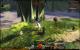 Guild Wars 2: Die Startgebiete der fünf Rasse mit Downsampling im Überblick (39)
