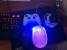 Update vom 14.07. mit teuflischem Nager, Racing-Setups und Tastatur-Sammlung (53)