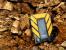 PC-Hardware trifft auf Naturgewalten: Die besten Bilder von Jarafi (80)