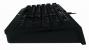 Razer Black Window Tournament Edition (4)