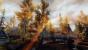 Skyrim by dpeasant (8)
