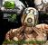 Test der Geforce GTX 660 Ti