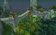 World of Warcraft: Mists of Pandaria - Der Jadewald (5)