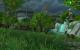 World of Warcraft: Mists of Pandaria - Der Jadewald (12)