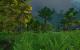 World of Warcraft: Mists of Pandaria - Der Jadewald (13)