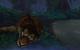 World of Warcraft: Mists of Pandaria - Die Krasarangwildnis (31)