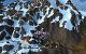 World of Warcraft: Mists of Pandaria - Die Kun-Lei-Gipfel (38)
