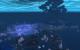 World of Warcraft: Mists of Pandaria - Die Schreckensöde (25)