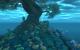 World of Warcraft: Mists of Pandaria - Die Schreckensöde (32)