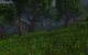 World of Warcraft: Mists of Pandaria - Das Tal der vier Winde (22)