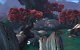 World of Warcraft: Mists of Pandaria - Die Tonlongsteppe (14)