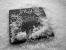 Update vom 05.08. mit Kult-CPUs der PCGH-Community (3)