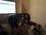 Update vom 25.08. mit Billardkugel-Trackball und Racing-Equipment aus Italien (24)