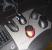 Update vom 25.08. mit Billardkugel-Trackball und Racing-Equipment aus Italien (6)