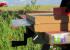 Update vom 15.08.: määähr Modding (12)