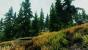 Skyrim by dpeasant (27)