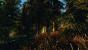 Skyrim by dpeasant (31)