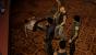 Sleeping Dogs in maximalen Details und Downsampling (9)