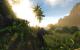 Vegetation Crysis