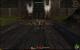 Guild Wars 2 in maximalen Details mit Downsampling (21)