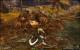Guild Wars 2 in maximalen Details mit Downsampling (48)