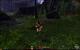 Guild Wars 2 in maximalen Details mit Downsampling (59)