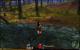 Guild Wars 2 in maximalen Details mit Downsampling (78)