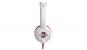 Steelseries stellt Headset, Maus und Mauspad in Guild-Wars-2-Edition vor (6)