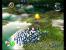 Pikmin, Gamecube, 2001.