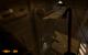 Black Mesa: 20 Grafikkarten im Benchmark-Test (108)