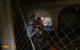 Black Mesa: 20 Grafikkarten im Benchmark-Test (124)