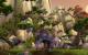 WoW Mists of Pandaria mit 18 Grafikkarten getestet (25)