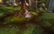 WoW Mists of Pandaria mit 18 Grafikkarten getestet (36)