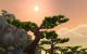 WoW Mists of Pandaria mit 18 Grafikkarten getestet (37)