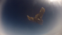 Bilder von der Landung (aufgenommen mit der HD HERO 2) (1)