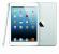iPad mini (3)