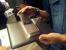 Asus Padfone 2 im Hands-on-Test (5)