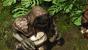 Risen 2 Crew: Jaffar
