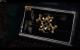 Medal of Honor Warfighter (21)