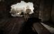 Medal of Honor Warfighter (8)