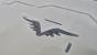 Update vom 04.10.: Platte im Carbon-Look mit Raven-Logo und beleuchteter SSD-Halterung (17)