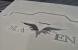 Update vom 04.10.: Platte im Carbon-Look mit Raven-Logo und beleuchteter SSD-Halterung (18)