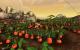 WoW Mists of Pandaria: DirectX 11, 64 Bit, SSAO & SGSSAA (29)